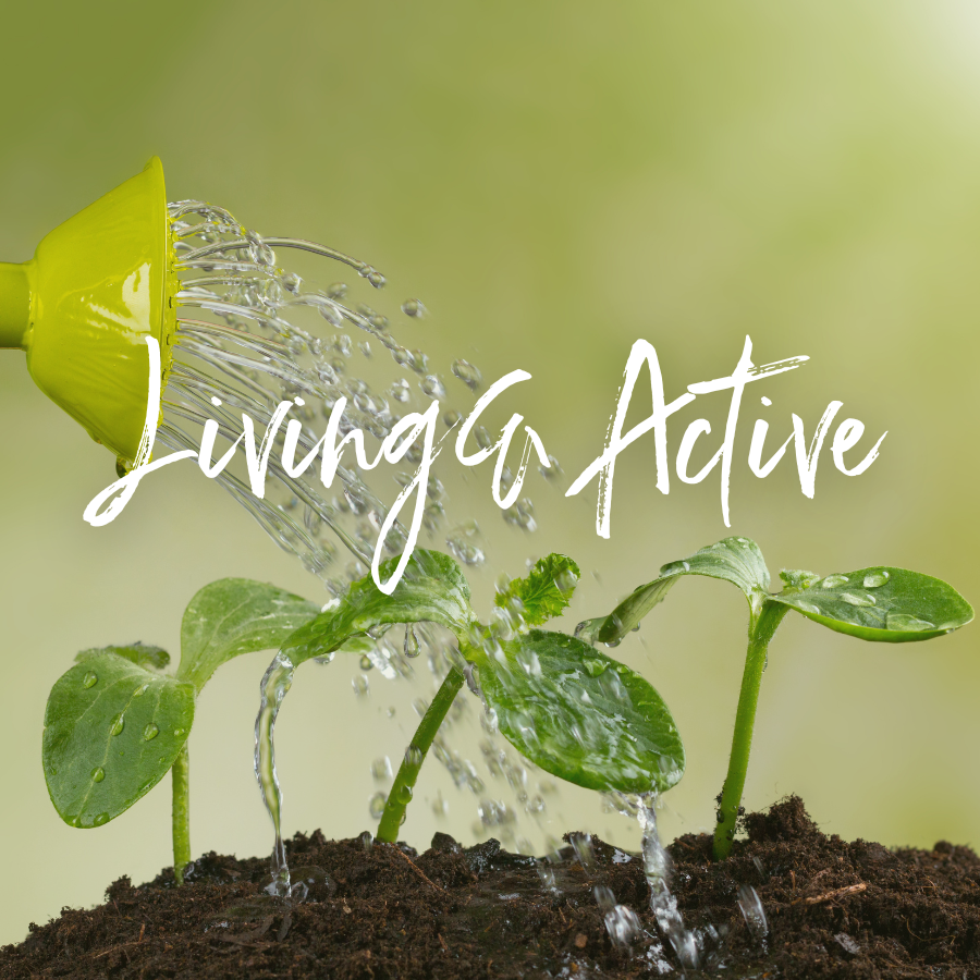 Living & Active 2026
